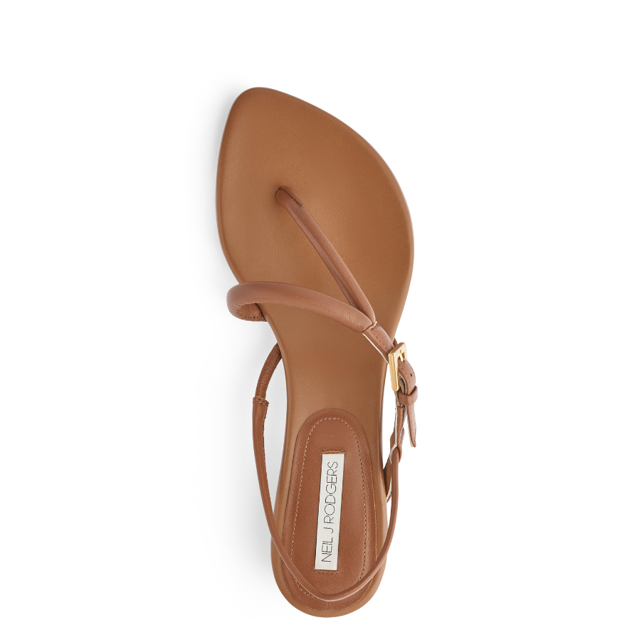 EDDIE SANDAL - NEIL J. RODGERS